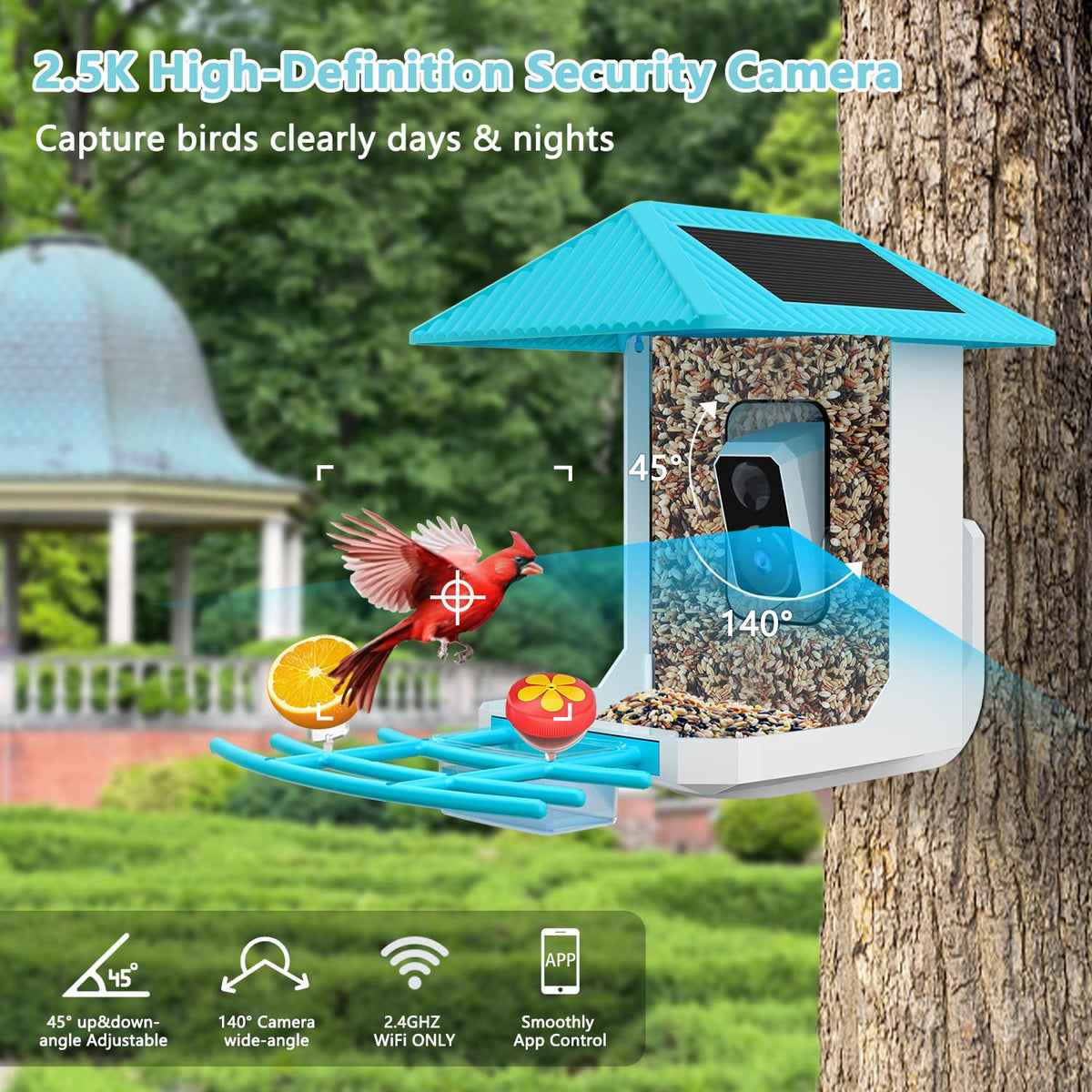 2.5K Smart Bird Feeder with Camera, 5GHz &2.4GHz Birds Watching Camera with AI Identify Bird Species, Outdoor Birds Feeder House with Solar Panel for BirdLovers (Blue)
