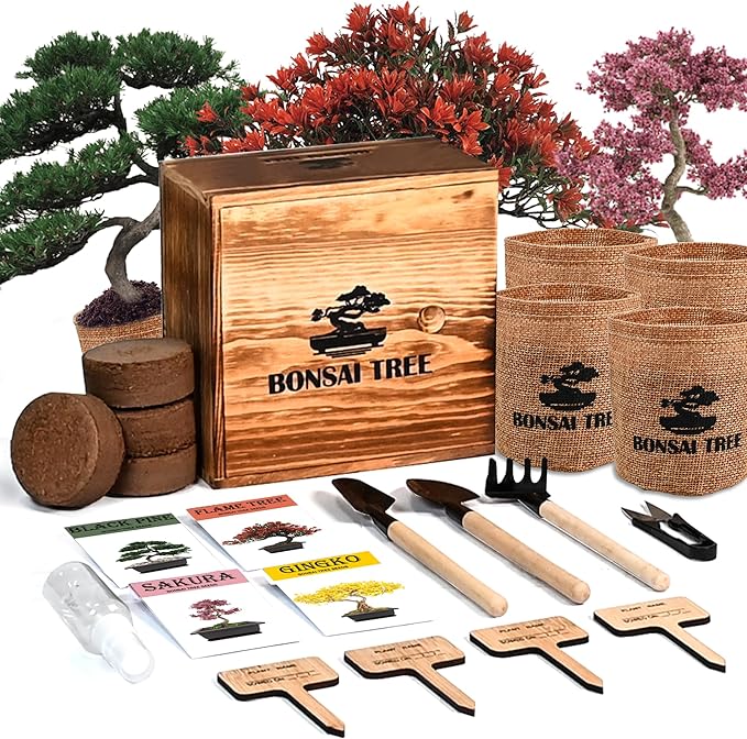Bonsai Garden Starter Kit, 4 Seeds Growing into Sakura, Ginkgo, Black Pine, Red Flame, Including Complete Gardening Tools & A Wooden Box with Cover, Christmas Gifts for Men Women Beginners
