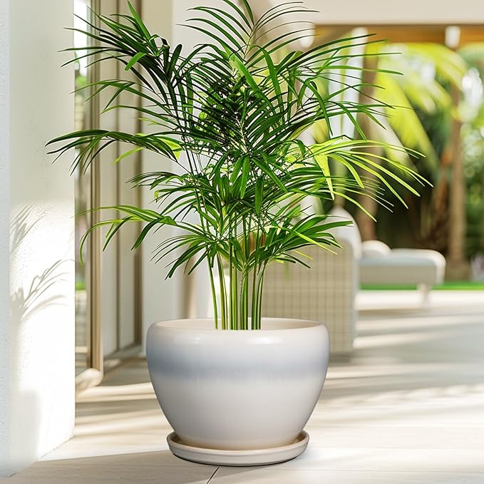 10 Inch Ceramic Planter Pot - Large Plant Pot with Drainage Hole and Saucer Round Flower Pot for Indoor Plants, White
