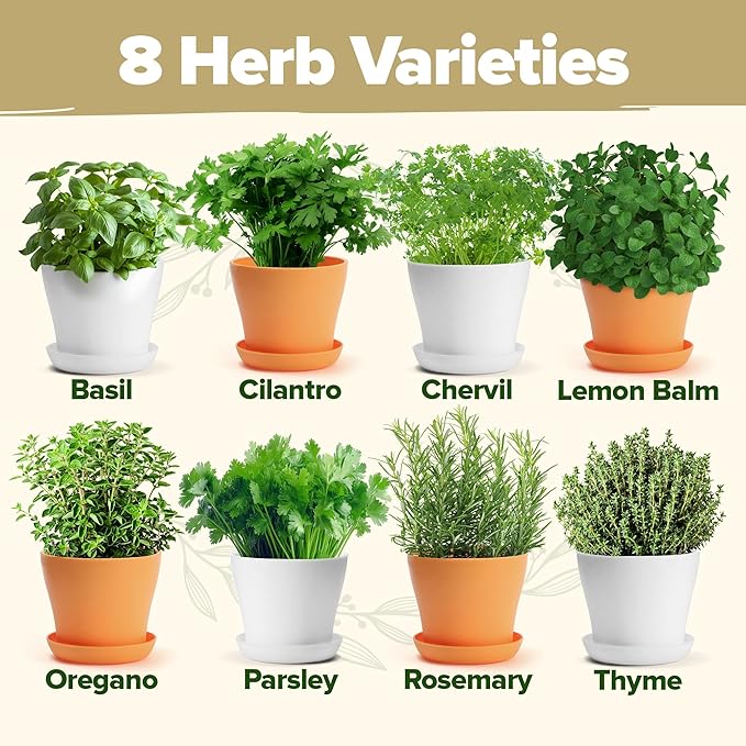 HOME GROWN 𝗣𝗥𝗘𝗠𝗜𝗨𝗠 𝗛𝗘𝗥𝗕 𝗞𝗜𝗧 8 Herb Seeds Garden Kit, Complete Indoor Planter Gift with Basil Cilantro Mint & More, Unique Kitchen Growing Set for Women Men, Birthday Housewarming Present