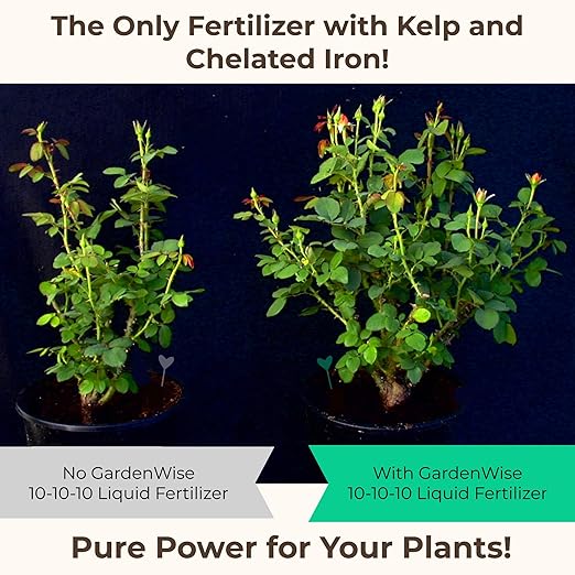 10-10-10 Fertilizer for All Purpose Plants - Liquid Fertilizer with Seaweed Kelp & Iron - Plant Food Outdoor & Indoor Plant Food, Vegetables, Flowers, Lawn & Garden 10 10 10 Fertilizer 32oz