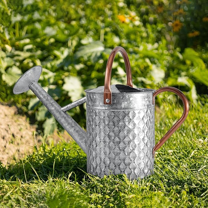 1 Gallon Metal Watering Can for Outdoor Indoor Plants, Galvanized Watering Can with Removable Spray Spout, Ideal for Garden Watering