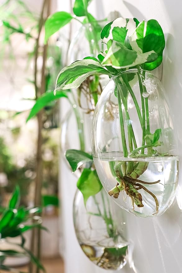 Ivolador Wall Hanging Planter Propagation Station Glass Flower Vase for Hydroponics Plants, Home Office Living Room Decor Gift, Set of 4
