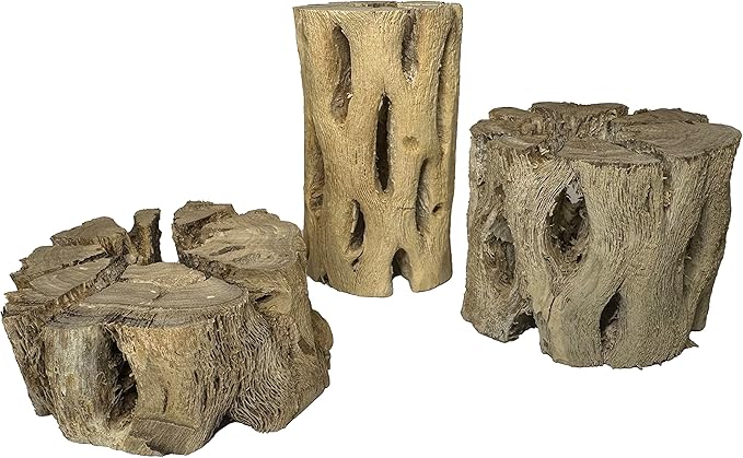 3 Natural Cholla Wood Air Plant Display Holders Tiered 1, 2 & 3 inch Individually Unique Round Decorative Stands