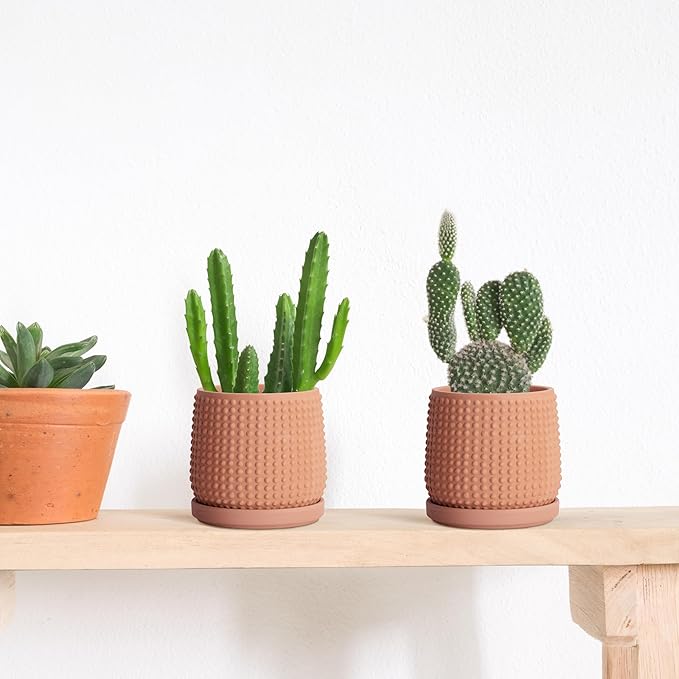 D'vine Dev Set of 2 Ceramic Plants Pots, 4 Inch Beaded Stoneware Flower Pot for Plants with Drainage Hole and Saucer, Terracotta, 27-E-Z-7