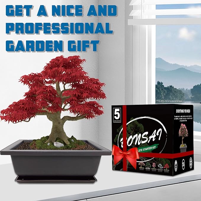 Bonsai Starter Kit, 5 Seeds Growing into Acacia, Wisteria, Sakura, Red Maple and Black Pine, Including Complete Gardening Tools with A Gift Box, Christmas Gifts for Men Women Beginners