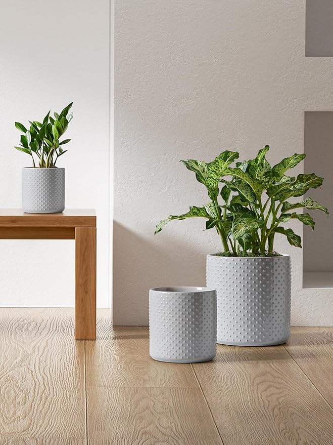 LE TAUCI Ceramic Plant Pots Indoor, 10+8+6 Inch Planters for Indoor Plants, Raised Dots Flower Pots with Drainage Hole and Plug, Cylinder Round Planters, Set of 3, Glaze Star Gray
