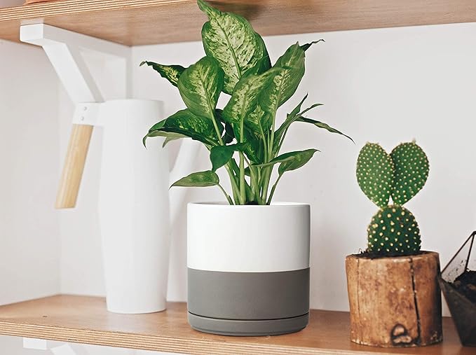 D'vine Dev Set of 2 Plants Pots, 6 Inch Ceramic Planter Pot for Plants with Drainage Hole and Saucer, White/Speckled Grey, 94-V-C-6