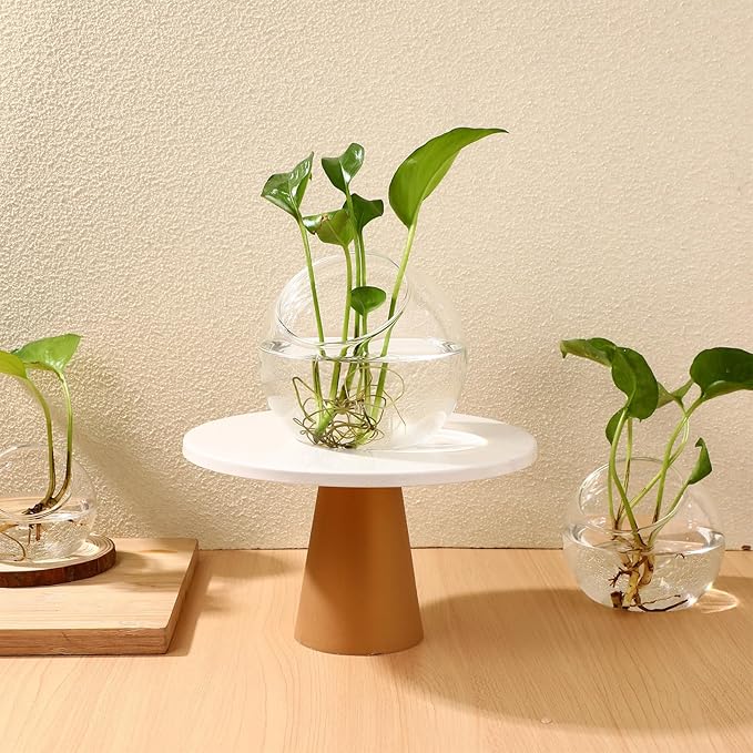 Mipcase 3 Pcs Plant Terrarium Plant Holder Terrarium Air Plant, 3 Round Glass Vase for Succulents, Clear Bubble Planter for Home Decor, Oblique Opening Glass Bowls Succulent Orbs Mini Tank