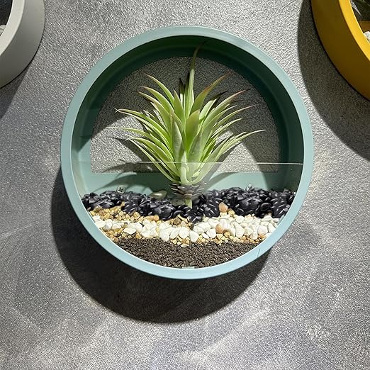 2.5 lbs Black Pebbles for Indoor Plants, Succulent, Bamboo, Vase, 3/8" Plant Rocks for Pots Indoor, Small River Rocks Decorative Pea Gravel, Highly Polished