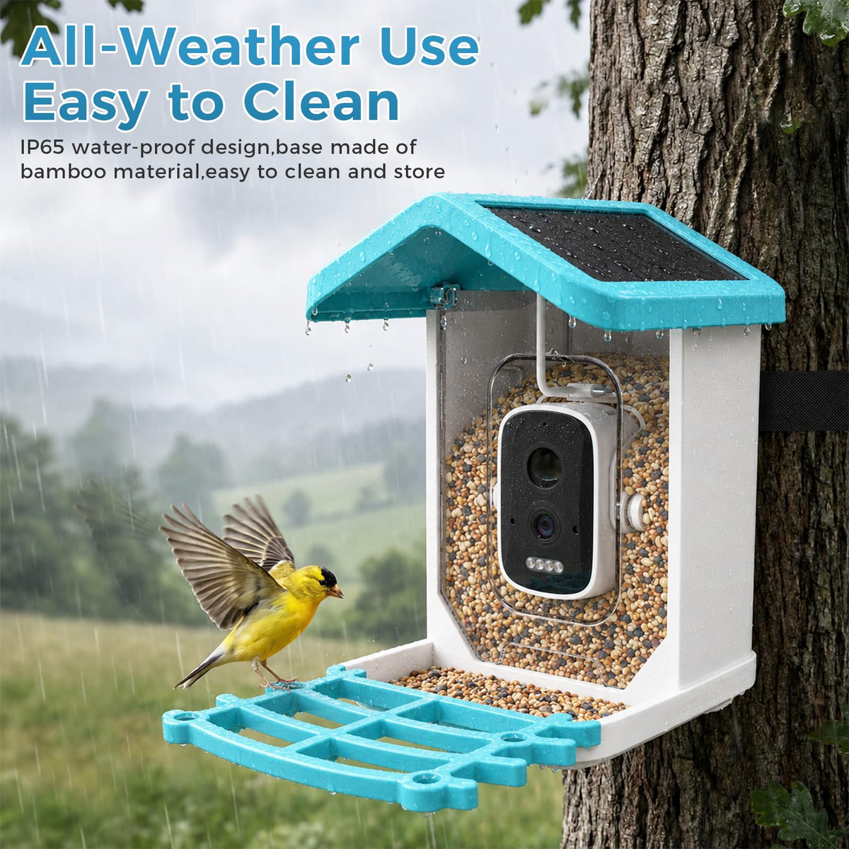 Smart Bird Feeder with Camera Integrated Solar Roof, Bird House with Camera