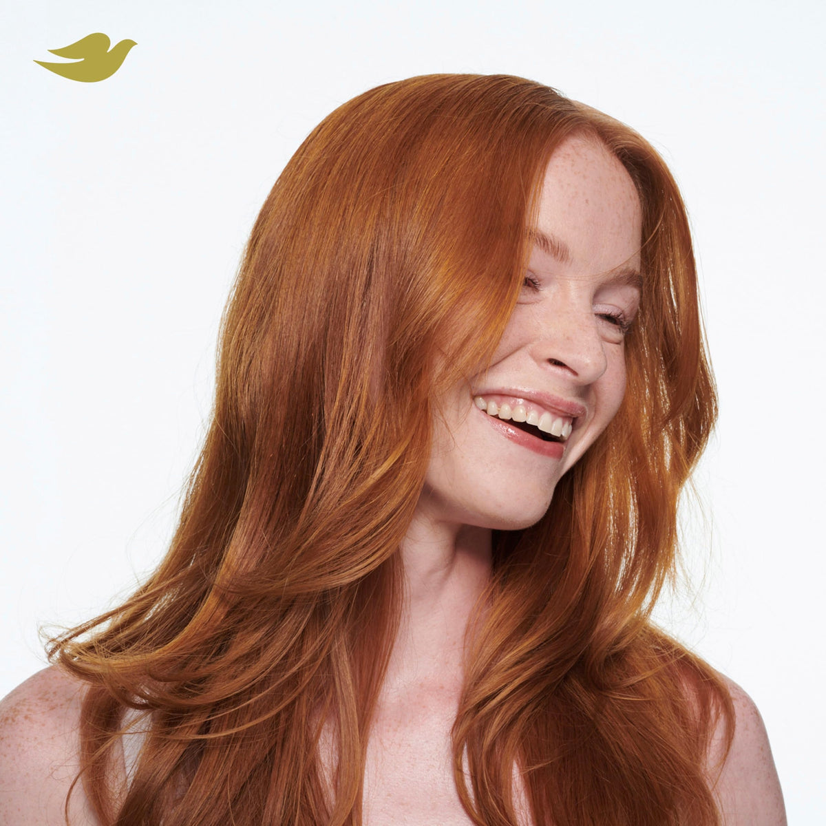 Dove Dry Shampoo Spray, Hair Volume & Fullness, Absorbs Oil, 5 oz (2-Pack)