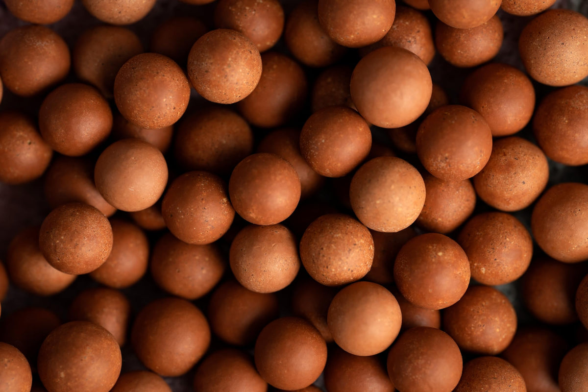 Delicious Pumpkin Spice Malt Balls By RawJoy, 1 Pound