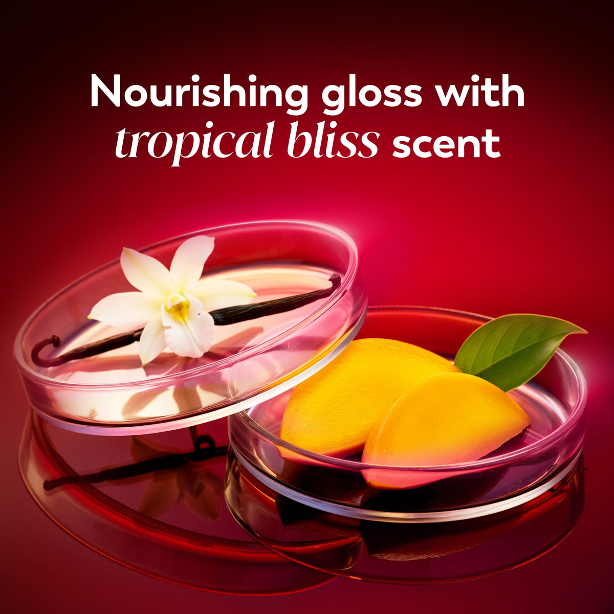 Olay Regenerist Nourishing Treatment, Lip Balm, Plumping Lip Gloss for Women, Fuller Looking Lips & Smoothed Lines, 3-in-1 Mask, Plumper, Gloss - Anti-Aging Skin Care, Shea Butter & Coconut Oil, 0.5oz