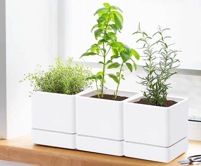4 Inch Herb Planter Pot, Plastic Planter with Drainage Holes and Saucer, Modern Decorative Gardening Pot for Indoor Plants, Flowers, Herbs, Succulents, White, Set of 3, 76-Y-A-3