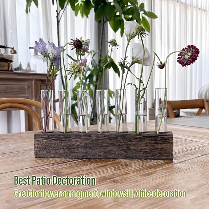KAXYEW Desktop Glass Plant Propagation Station Test Tube Plant Terrarium in Wooden Stand for Hydroponic Plants Cutting Office Home Decoration