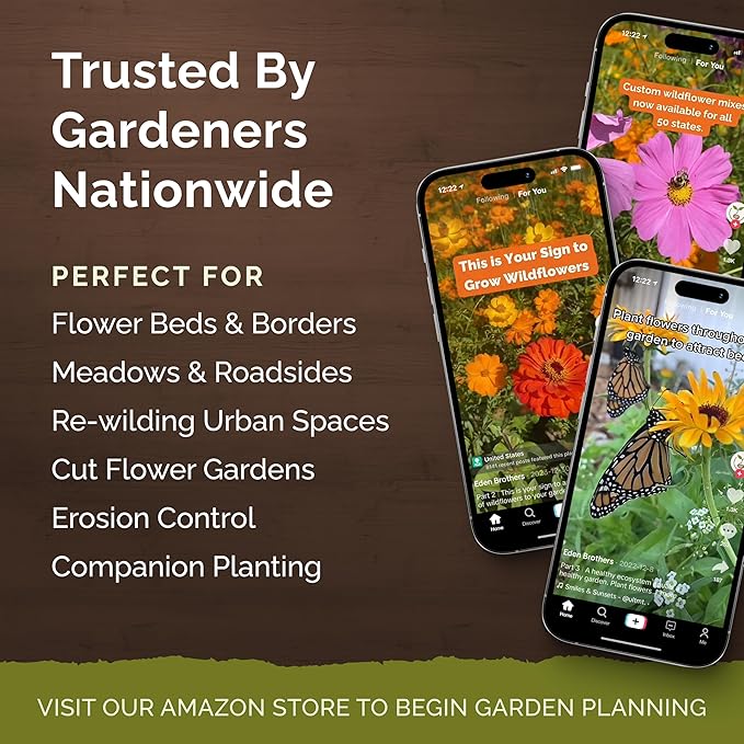 Eden Brothers All Perennial Wildflower Mixed Seeds for Planting, 10 lb, 4,800,000+ Seeds with Lupine, Shasta Daisy | Attracts Pollinators, Plant in Spring or Fall, Zones 3, 4, 5, 6, 7, 8, 9, 10