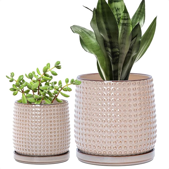 D'vine Dev 6 Inch 4 Inch Ceramic Indoor Planter Pots with Drainage Hole and Saucer, Beaded Design Flower Pots, Set of 2, Light Brown, 27-D-U-4
