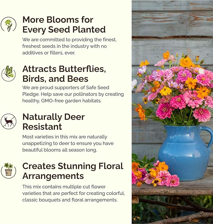 Eden Brothers Orange Sherbet Flower Mixed Seeds for Planting, 1/4 lb, 120,000+ Seeds with Cosmos Picotee, Bright Lights | Attracts Pollinators, Plant in Spring or Fall, Zones 3, 4, 5, 6, 7, 8, 9, 10