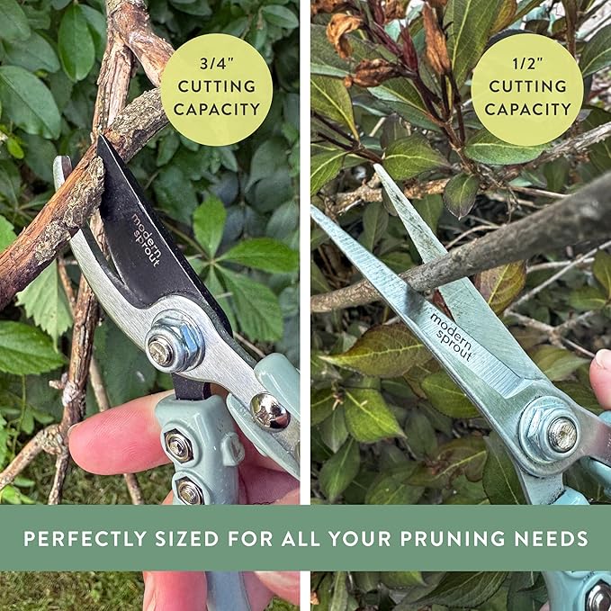Modern Sprout Hand Pruners & Shears Set - Lightweight Gardening Tools W/Easy Lock - Sharp Carbon Steel Blades -Rust Resistant Scissors for Herbs, Flowers - Reusable Holster - Ocean