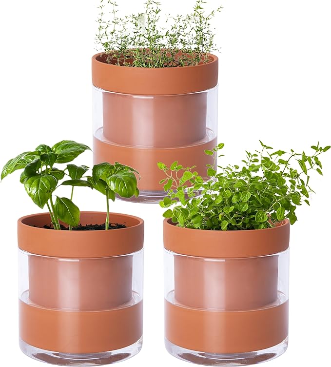 Phoenix Vine 4 Inch Self Watering Planter Pot, Terracotta Clay Pot with Glass Reservoir for Indoor Plants, Herbs, Flowers, Set of 3, 52-A-E-3