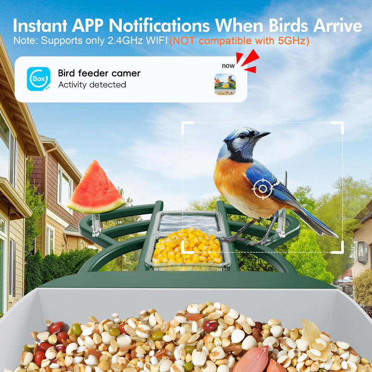 Nuctove Smart Bird Feeder with Camera Solar Powered, 4K HD Live Video Bird Camera Feeder with AI Identifies,App Control,Instant Arrival Alert,Auto Capture,Motion Detection Bird House (Green)