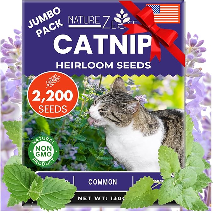 NatureZ Edge Catnip Seeds for Planting, 2200+ Herb Seeds, Indoor or Outdoor Growing, Cat Nip Seeds, Your Cat Will Love Them, Non-GMO