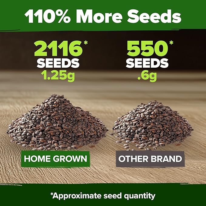HOME GROWN 𝗨𝗦𝗔 𝗣𝗥𝗘𝗠𝗜𝗨𝗠 Catnip Seeds (Bulk Pack) 𝗡𝗢𝗡-𝗚𝗠𝗢 Heirloom Herb 2,116 Seeds - Indoor or Outdoor Seed - High-Germination Cat Nip - Cat Safe Plants (Nepeta cataria)
