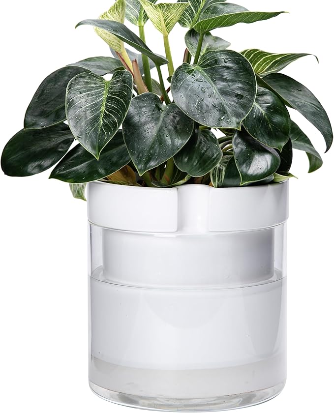Phoenix Vine 10 Inch Self Watering Planter, White Terracotta Clay Pot with Glass Reservoir for Indoor Plants, Herbs, Flowers, Set of 1, 52-B-I-1