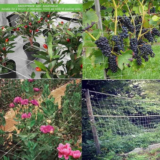 All-Weather Trellis Netting Mesh Plant Garden Vine Growing Flexible String Net (6" Mesh ployester, 5' Wx 15'L)