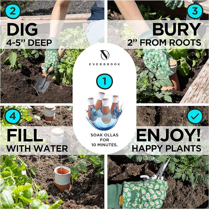 Plant Self Watering Globes - Terracotta Watering Spikes - Slow Release Olla Pots - Holds 16 oz - Drip Irrigiation Olla System