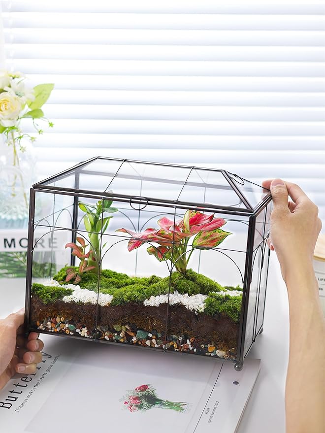 Handmade Glass Planter Terrarium with Lid, Indoor Tabletop Centerpiece Display Box Modern Decor DIY Gift Plant Terrarium Container for Succulent Cacti Air Plants Flower (Black)
