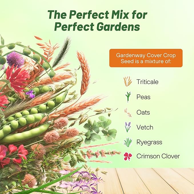 Outsidepride Gardenway Cover Crop Seeds - 50 lbs Fast Growing, Easy to Establish, Nutrient-Rich Mix for Soil Health & Home Gardens - Mixture of Triticale, Peas, Vetch, Annual Ryegrass, Crimson Clover