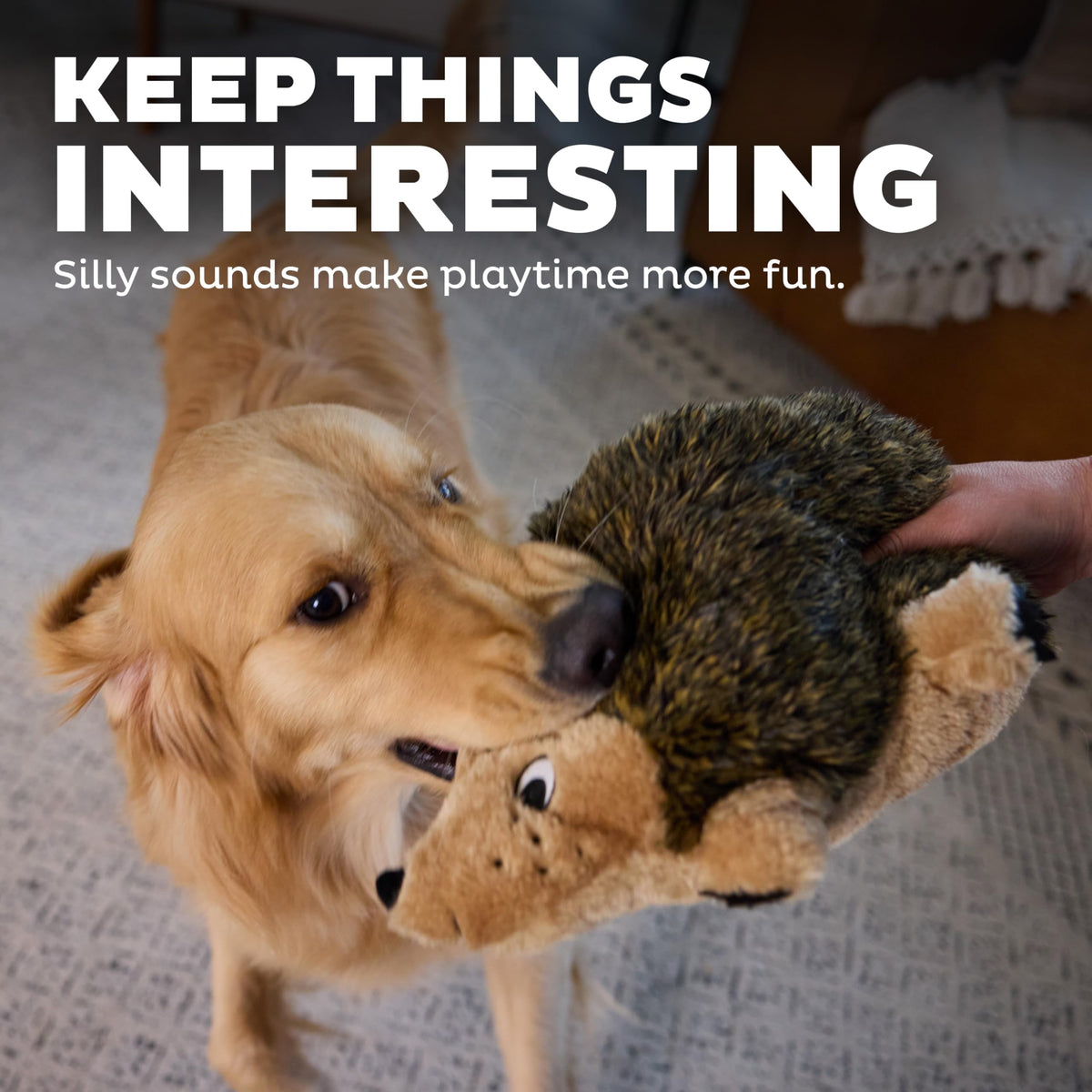 Outward Hound Hedgehogz Plush Dog Toy, Squeaks & Grunts, Large, 12" x 7"