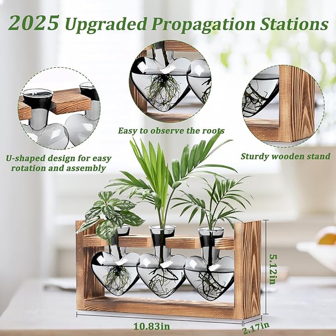 Lifecapido Heart Shaped Propagation Stations, Plant Terrarium with Wooden Stand, Plant Propagation Station for Hydroponics Plants Office Garden Home Decor, Gifts for Women Plant Lover (3 Vases, Gray)