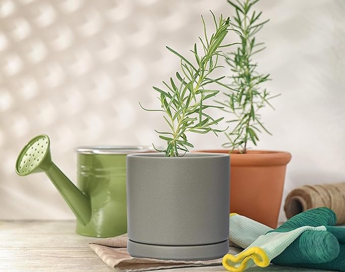 D'vine Dev Set of 4 Small Ceramic Plant Pots, 4.6 Inch Succulent Planter Pot for Plants with Drainage Hole and Saucer, Grey, 94-X-B-3