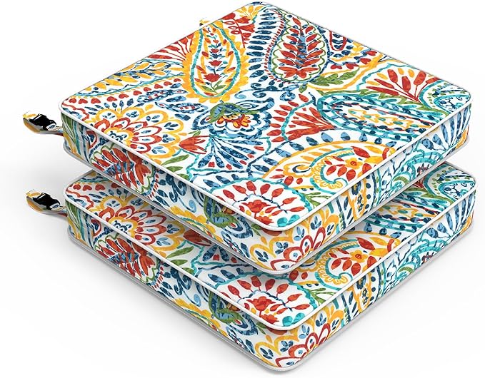 LVTXIII Patio Chair Cushions 22"x22"x3", Water-Repellent Outdoor Seat Cushions for Patio Furniture, Square Chair Pads with Ties for Home Garden Decoration, Set of 2, Paisley Multi