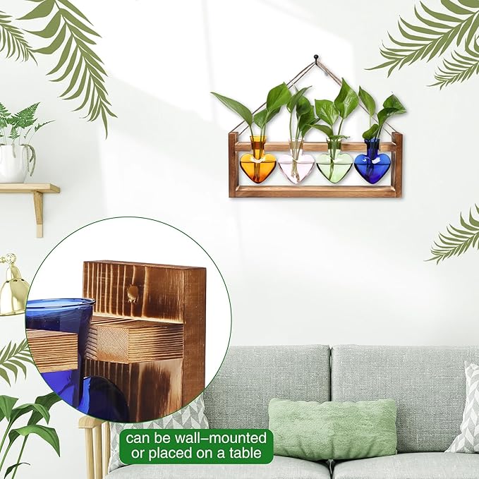 Plant Propagation Stations Heart Plant Terrarium Kit Gift for Women Plant Lover Glass Vases