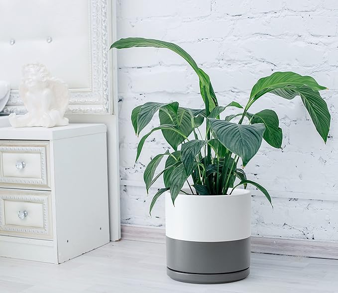 D'vine Dev Set of 2 Plants Pots, 10 Inch Ceramic Planter Pot for Plants with Drainage Hole and Saucer, White/Speckled Grey, 94-V-E-6