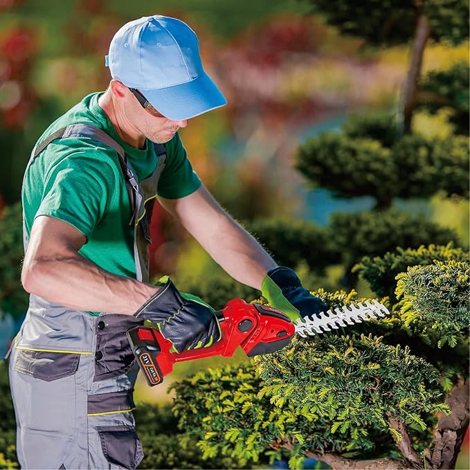 Hedge Trimmer Cordless 2 in 1 Handheld Grass Shears Mini Shrubbery Grass Cutter Electric Brush with Battery and Charger (Mordern)