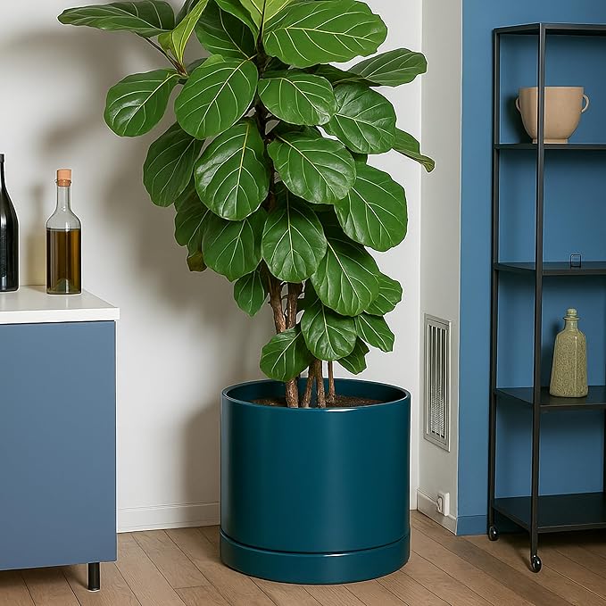 D'vine Dev 14 Inch Ceramic Planter Pot with Drainage Hole and Saucer, Indoor Cylinder Round Planter Pot, Teal, 94-O-G-9