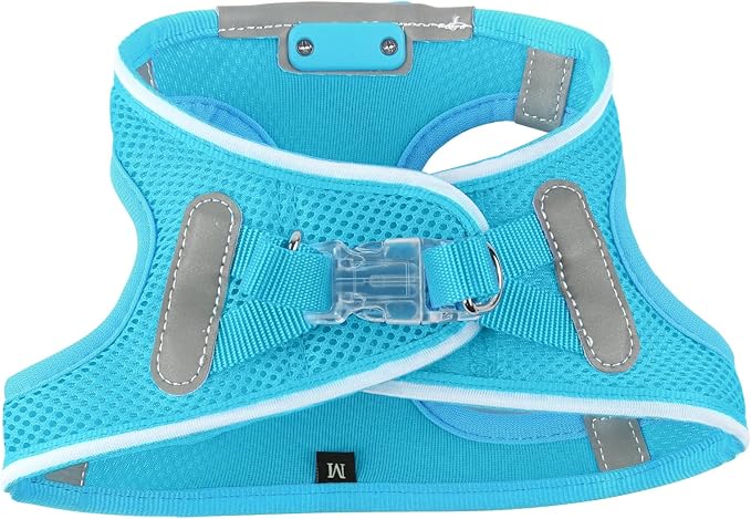 Light Up Dog Harness,Rechargeable LED Dog Harness for Small Medium Large Dogs,Reflective Lighted Safety Vest for Night Walking & Camping,Lightweight & Adjustable,Blue,L