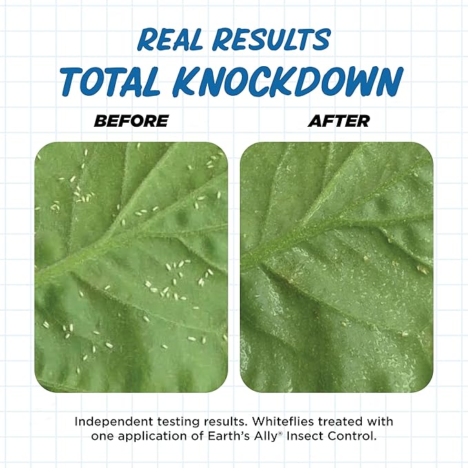 Earth's Ally Insect Control for Plants Ready-to-Use 24 oz | Safe Outdoor & Indoor Plant Insecticide, Spider Mite, Aphid & Mealybug Killer - Effective Spray for Organic Garden & Household Plants