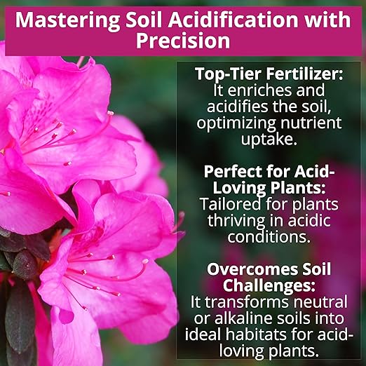 8-4-8 Acidic Fertilizer for Azaleas, Camellias (Camelia), Hydrangeas, Blueberries, Gardenias, Magnolia Trees, Evergreens, and Rhododendrons - Ideal Iron-Rich Plant Food (4 QUARTS)