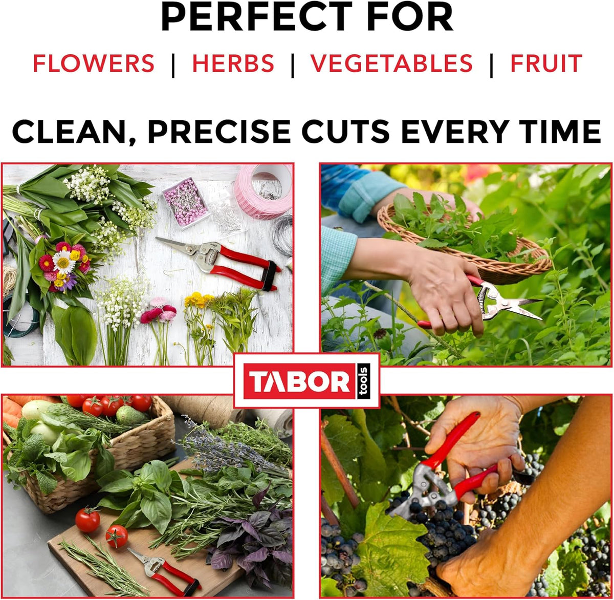 TABOR TOOLS Pruning Shears, Florist Scissors, Multi-Tasking Garden Snips for Arranging Flowers, Trimming Plants and Harvesting Herbs, Fruits or Vegetables. K17A. (Straight, Stainless Steel Blades)