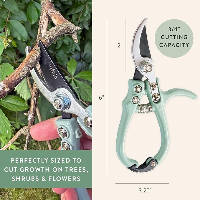 Modern Sprout Hand Pruners - Lightweight Pruning Shears W/Easy Lock- Gardening Scissors - Bypass Sharp Carbon Steel Blade - Rust Resistant - Garden Tools - Reusable Holster - Ocean