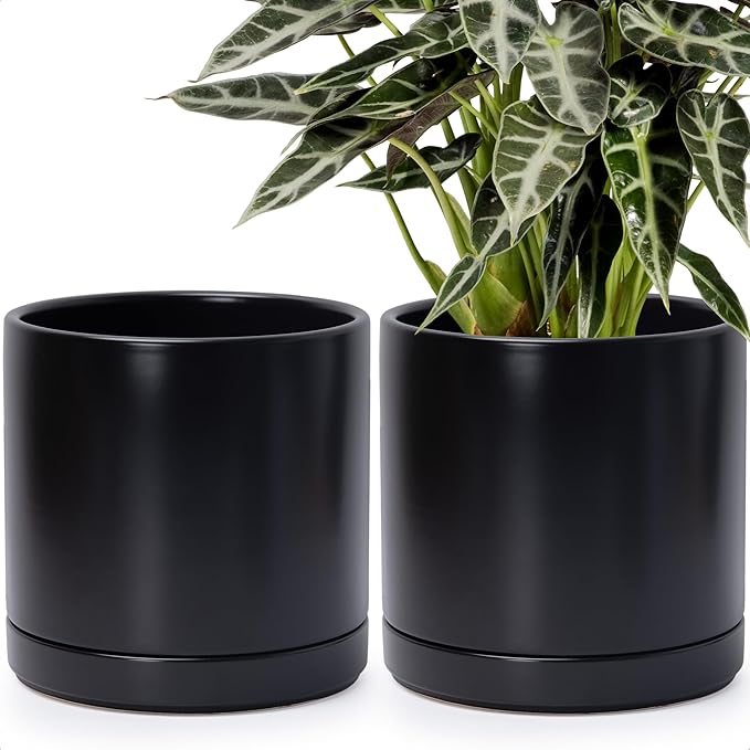 D'vine Dev Set of 2 Plants Pots, 10 Inch Ceramic Planter Pot for Plants with Drainage Hole and Saucer, Black, 94-V-E-2
