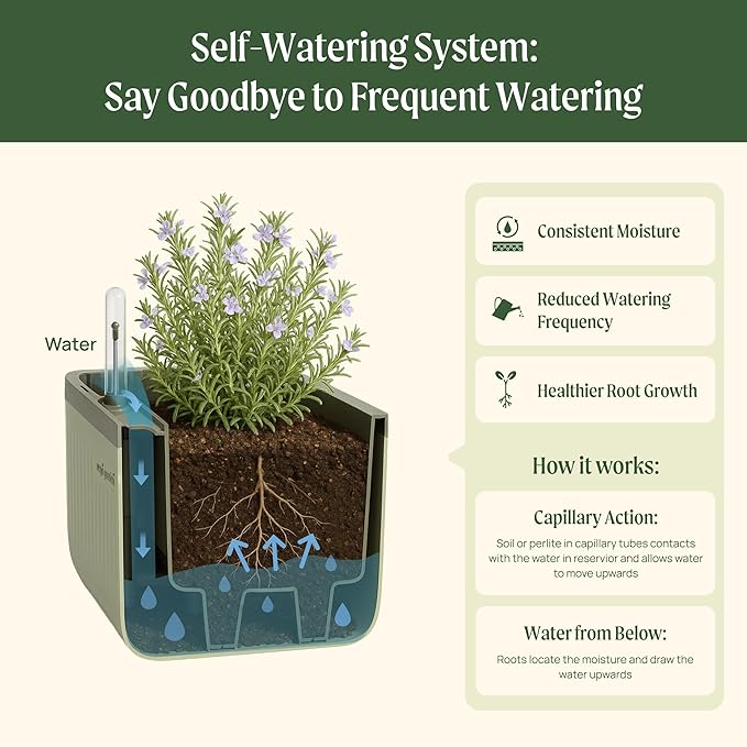 Vego Garden 2 Pack Herb Indoor Plant Box, Self Watering Planters Pots with Trellis for Kitchen Window Sill or Countertop Plants Cage - Sage Green