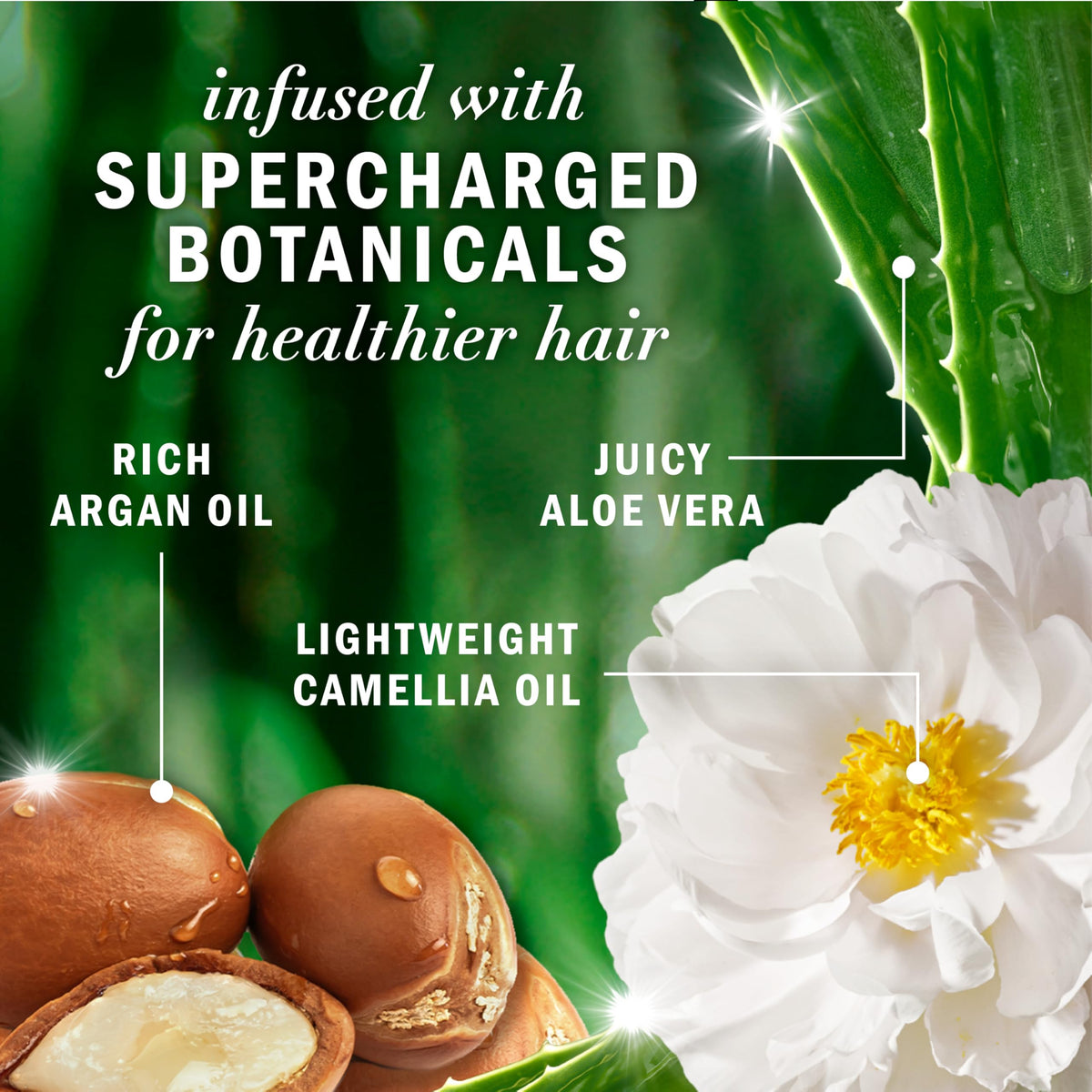 Herbal Essences Argan Oil Paraben Free Shampoo, Hair Repair, 20.2 fl oz, with Certified Camellia Oil and Aloe Vera, For All Hair Types, Especially Damaged Hair