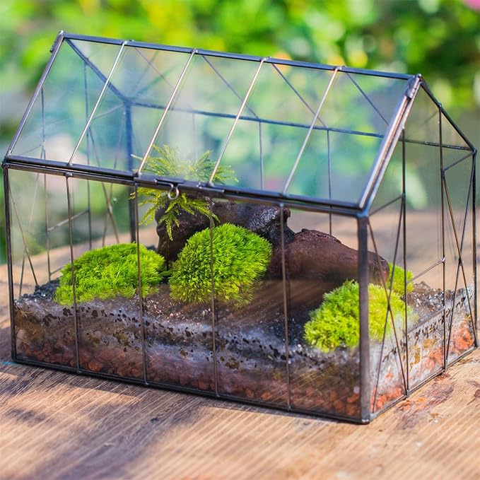 NCYP Geometric Glass Terrarium with Lid for Succulent, Small Cactus - Handmade Clear Closed House Shape Box - Home Indoor Tabletop Garden Decor, Black 9.4" x 5.5" x 7.3" (No Plants)